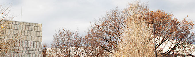 ディーズ　アンティークキルトショップ